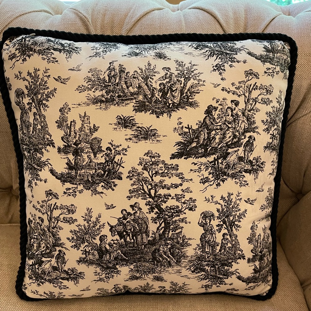 Beautiful Toiles Pillow